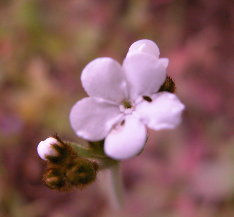 DSCN0032_edited