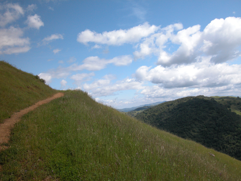 DSCN0045