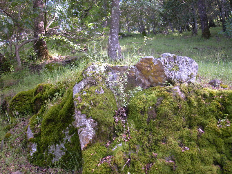 DSCN0054