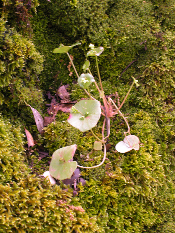 DSCN0060