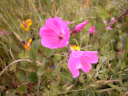 DSCN0033