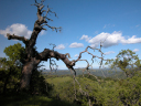 DSCN0046