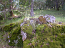 DSCN0054