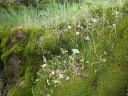 DSCN0055