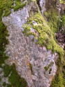DSCN0058