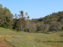 DSCN0074