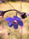 DSCN0079