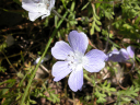 DSCN0104