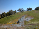 DSCN0115