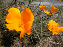 DSCN0117