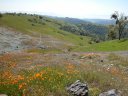 DSCN0135