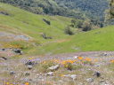 DSCN0136