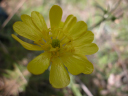 DSCN3505