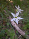 DSCN3511