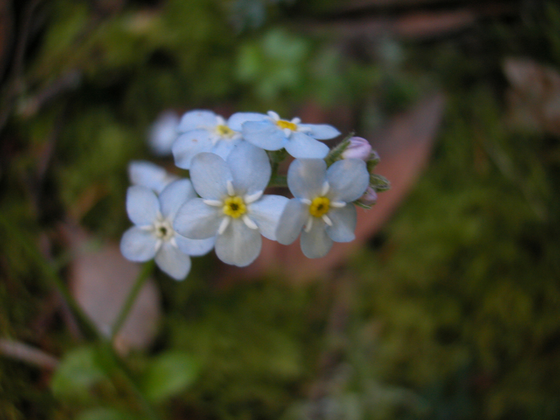 DSCN0022
