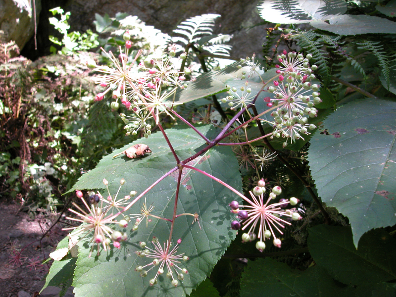 DSCN0032