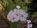DSCN0023