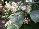 DSCN0032