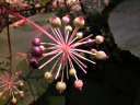 DSCN0033