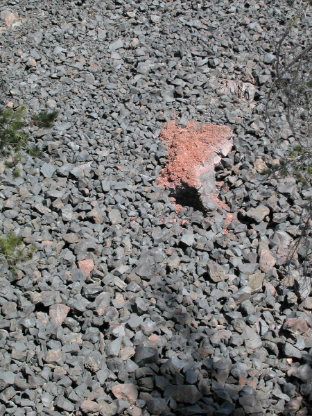 Lassen (129)