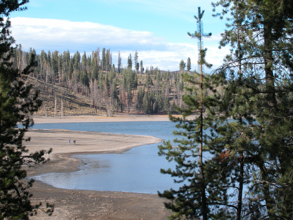 Lassen (136)