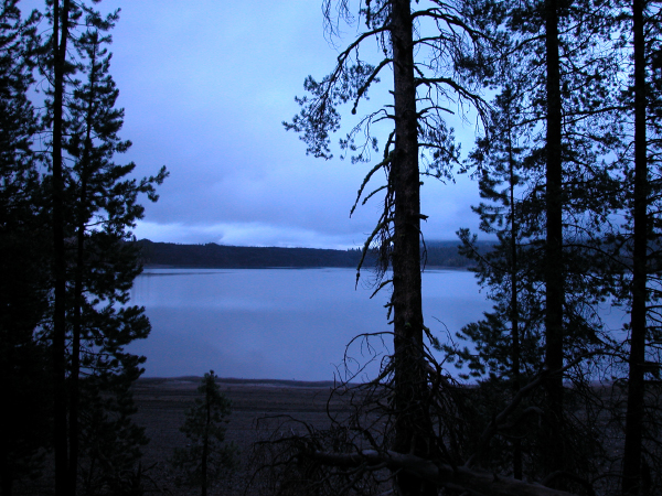 Lassen (145)