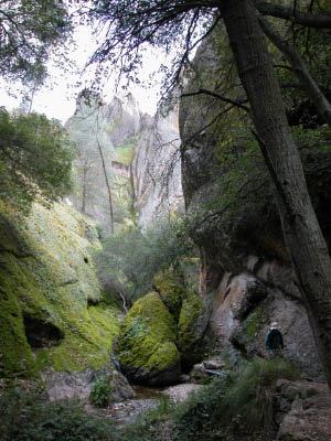 DSCN0018