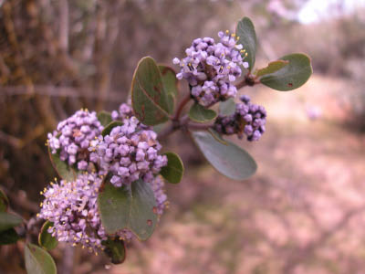 DSCN0046