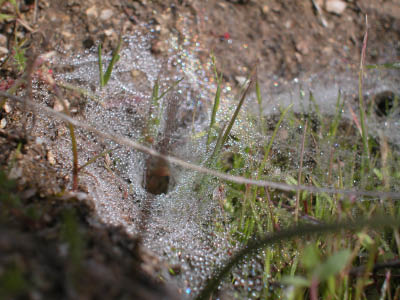DSCN0049