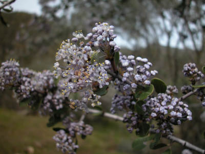 DSCN0062