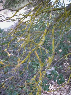 DSCN0079