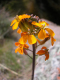 DSCN0089
