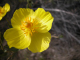 DSCN0095