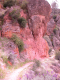 DSCN0098
