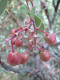 DSCN0111