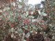 DSCN0112