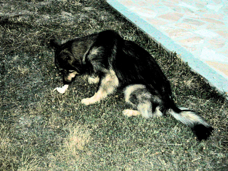 DSCN0125-1_edited