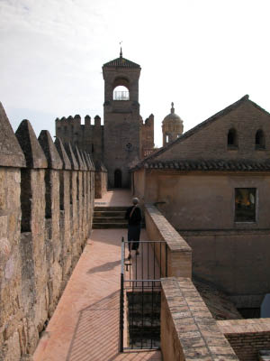 DSCN0082