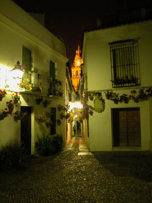 DSCN0121