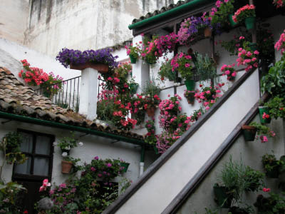 DSCN0150