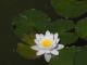 DSCN0120