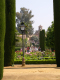 DSCN4259