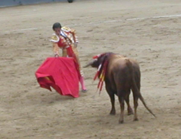 DSCN4623_edited
