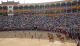 DSCN4580_edited