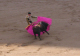 DSCN4596_edited