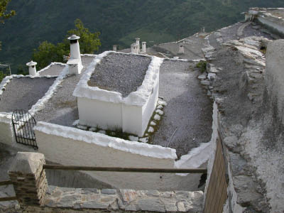 DSCN4518