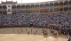 DSCN4580_edited