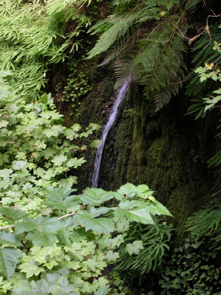DSCN0179