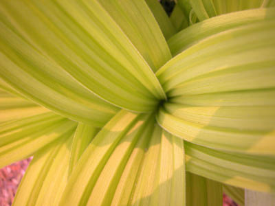 DSCN0041