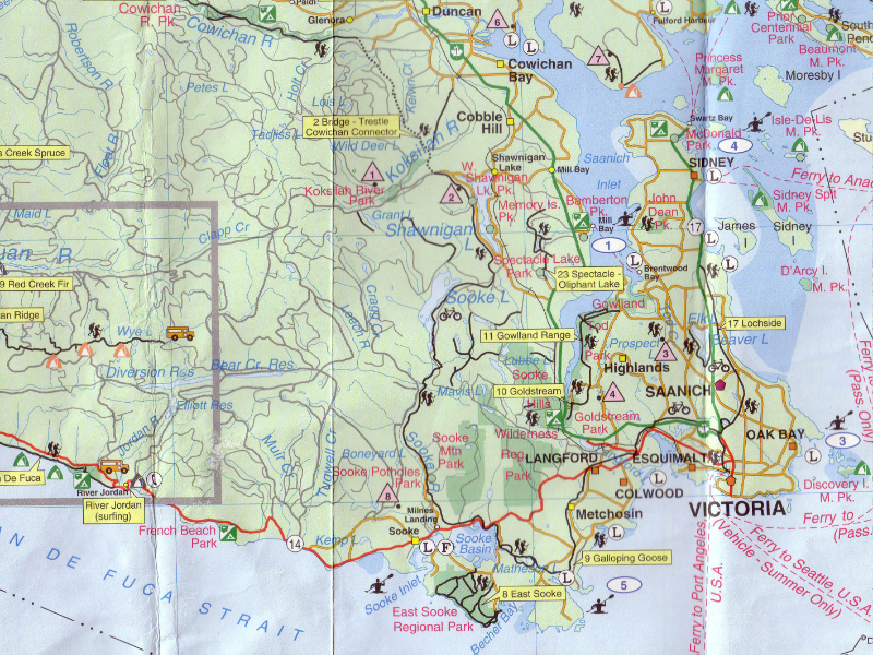 vic-sooke